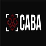 CABA İNSAAT ENERJİ TURİZM SAN. VE TİC.A.Ş. İSTANBUL ŞUBESİ (BİNA)